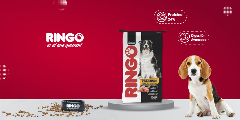 alimento ringo +pro